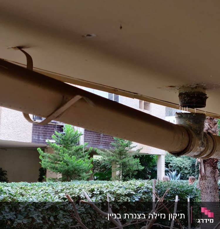 צינור מים דולף מתקרה עם נזילה גלויה